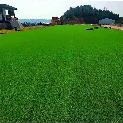 玛沁县足球人造草坪施工厂家咨询热线